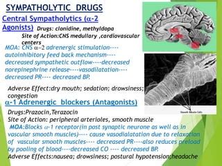 Anti hypertensive drug | PPT