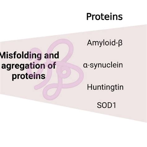 The use of stem cells in the treatment of neurodegenerative diseases ...