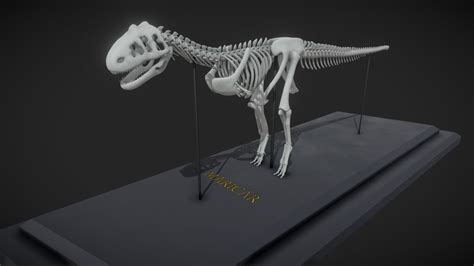 Majungasaurus Skeleton - 3D model by Dylan (@DylanSpin) [73f1f37 ...