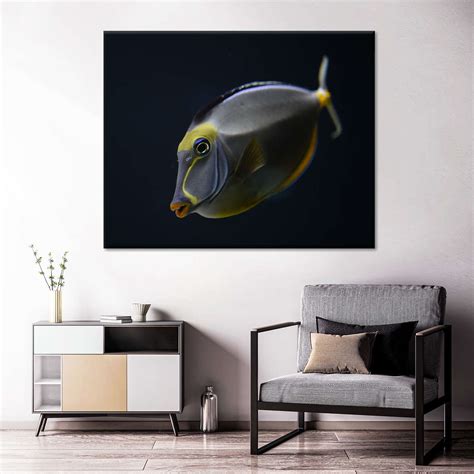 Tropical Fish Wall art | Elephant Stock