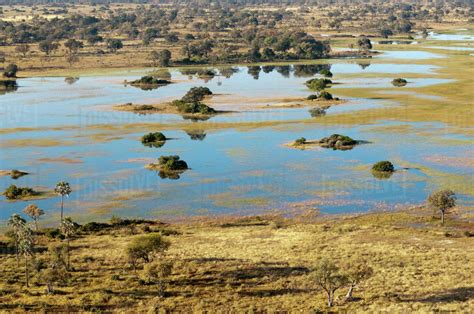 Aerial view of Okavango Delta, Botswana - Stock Photo - Dissolve