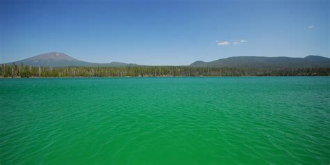 Little Lava Lake Campground - camping in Oregon