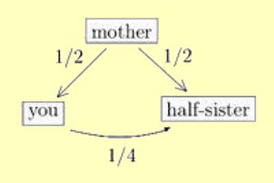 What to Do with Half-Siblings? | FamilyTree.com