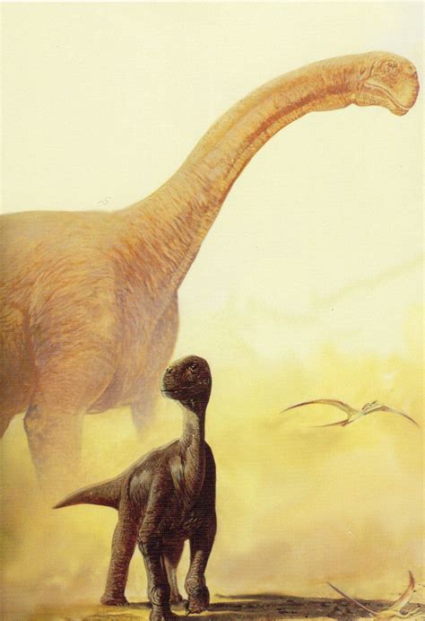 Camarasaurus by Jan Sovak | Dinosaur art, Ancient animals, Dinosaur pictures