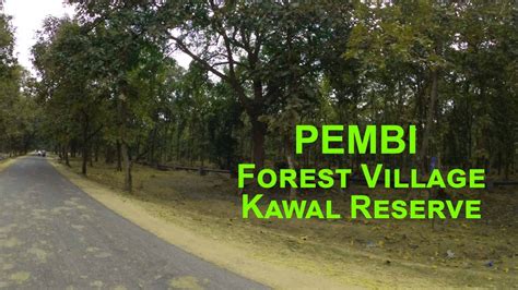 Pembi Forest Village, Kawal Reserve, Khanapur, Nirmal, Telangana - YouTube