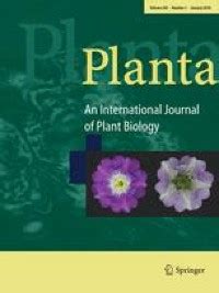 The effects of structurally different siderophores on the organelles of Pinus sylvestris root ...