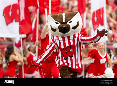 September 7, 2019: Wisconsin Badgers mascot Bucky Badger runs onto the ...