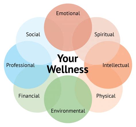 Your Wellness Wheel: Why Balance Is Key to a Healthy Lifestyle ...