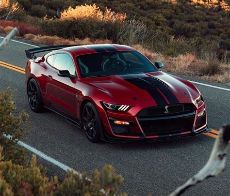 Ford Mustang Gt500 Shelby