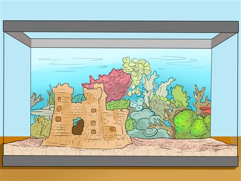 4 Ways to Make Aquarium Setups Stand Out - wikiHow