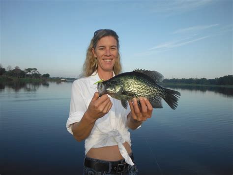 Best 13 Crappie Fishing Lures – Siesta Key Fishing Charters