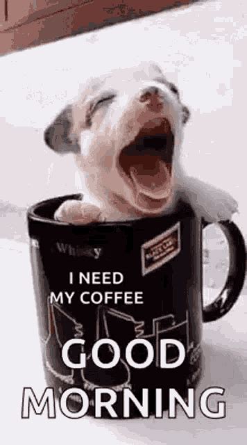 Puppy Cup GIF - Puppy Cup Good Morning - Discover & Share GIFs