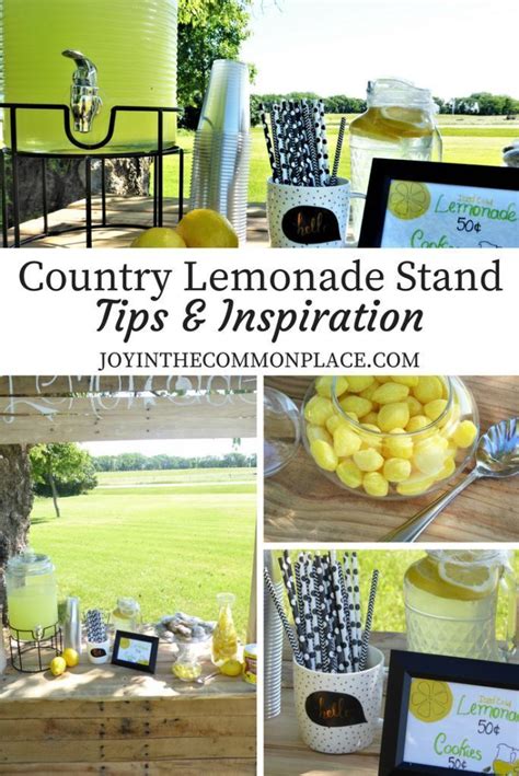 How to Set Up a Successful Lemonade Stand for Kids! | Lemonade stand ...