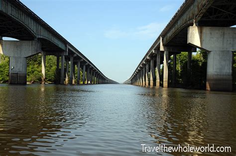 Visiting the Atchafalaya Swamp