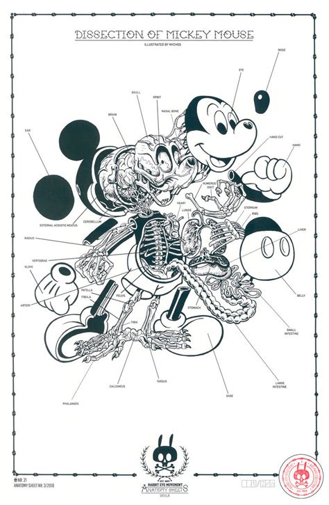 DISSECTION OF MICKEY MOUSE: ANATOMY SHEET NO. 21 - Rabbit Eye Movement Inc.