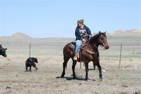 The Wyoming Cowgirls series has been telling about some amazing Wyoming ...