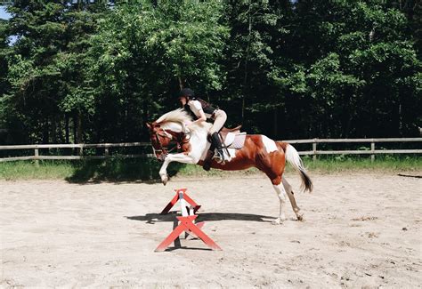 Horseback Riding Camp | Sleep Away Camp | English | Western — Camp Birchwood