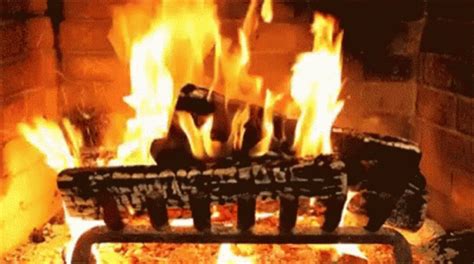 Fireplace Romantic GIF - Fireplace Romantic Fire - Discover & Share GIFs | Romantic gif, Log ...