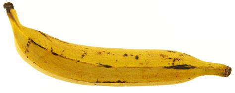 Plantain banana | alimentarium