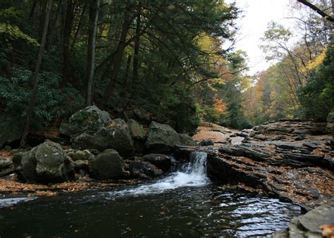 Ohiopyle State Park Camping | The Dyrt