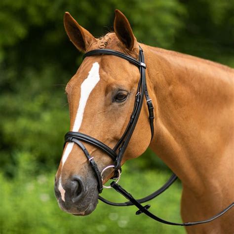 Stubben Leitrim English Bridle | Schneiders Saddlery