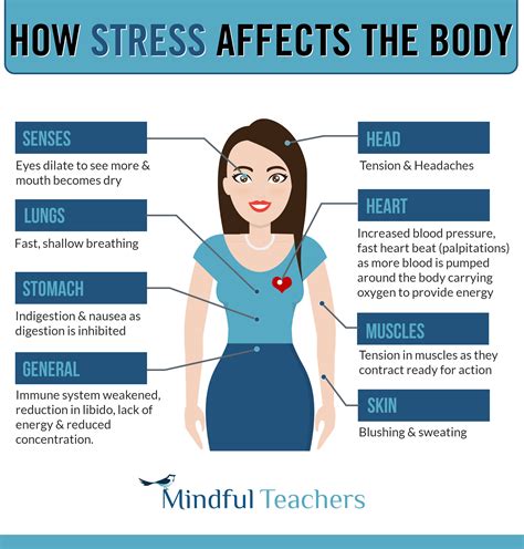 How Stress Affects The Body - mindfulteachers.com