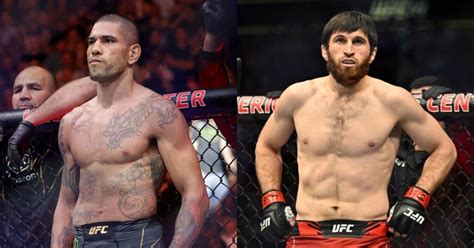 Alex Pereira Urged To Avoid Magomed Ankalaev In UFC Light Heavyweight Move: 'He Can Wrestle'