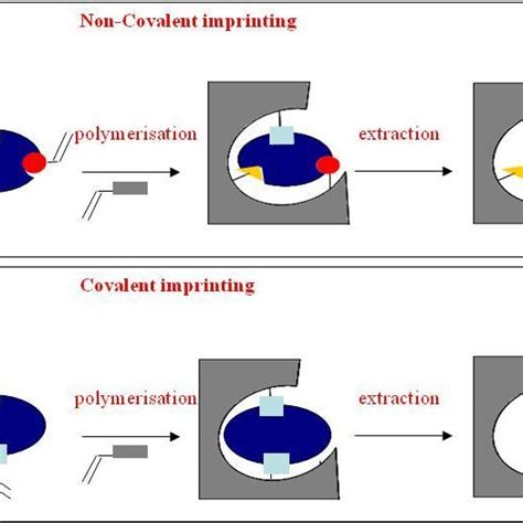 5. Schematic sketches of the four types of acoustic sensors. A ...