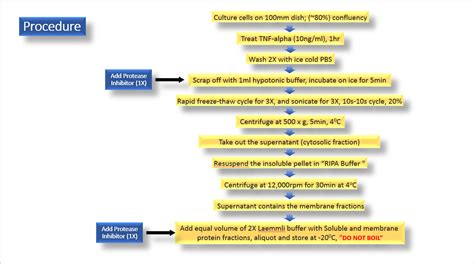 140 questions with answers in CELL FRACTIONATION | Scientific method