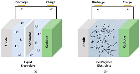 Schematic Illustration Of Electrode Electrolyte Inter - vrogue.co