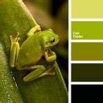 monochrome color palette of green | Color Palette Ideas