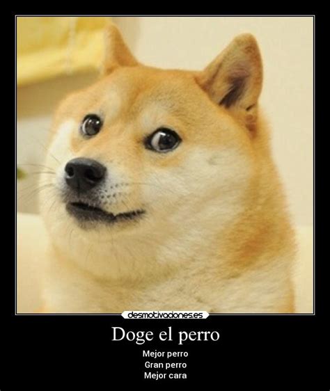 Doge el perro | Desmotivaciones