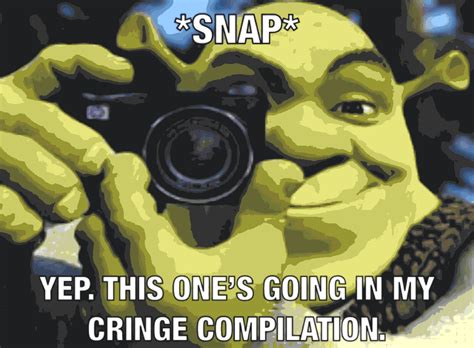 New Donkey Meme Shrek Memes Gif Memes Fiona Memes