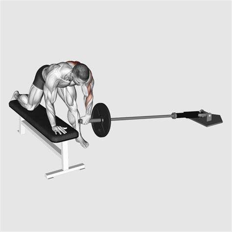 5 Essential Landmine Back Exercises For A Stronger Upper Body - Workout ...