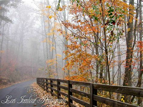 Dahlonega Georgia Dahlonega Georgia, Dawsonville, Georgia On My Mind ...