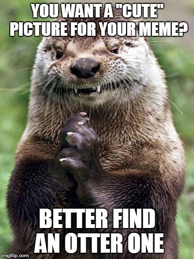 Evil Otter Memes - Imgflip