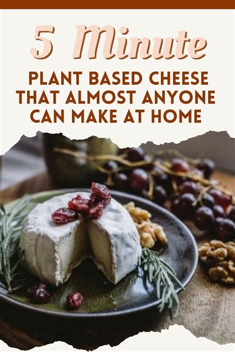 The Ultimate Guide To Plant Based Cheese | Plant based cheese, Raw food ...