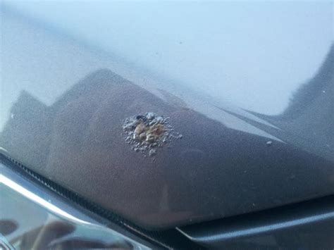 What to Do When You Spot Rust on Your Car – CarNewsCafe