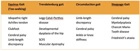 Ortho Blog - Carolinas Electronic Compendium