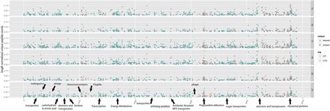 Frontiers | Strain-resolved microbial community proteomics reveals simultaneous aerobic and ...