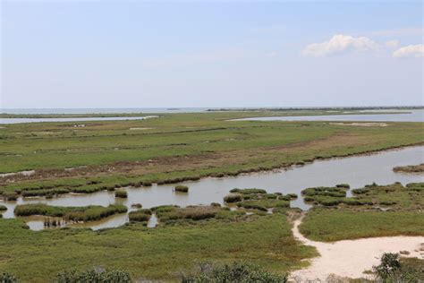 Take a trip to the Aransas National Wildlife Refuge - Best Texas hiking ...