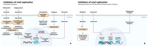 Pharmaceutics | Free Full-Text | Optimizing Antiviral Dosing for HSV ...