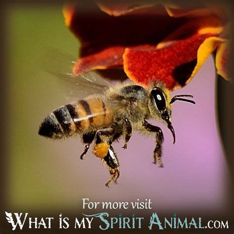 Dreaming of Bees: Meaning & Symbolism of Bee Dreams | Bee, Dream symbols, Working bee