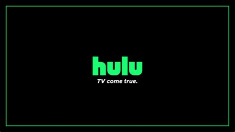 Hulu - New Logo Concept by SchmerpDerp on @DeviantArt | Logo concept ...