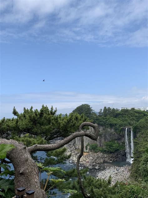 Overlooking Jeongbang Waterfall on the island of Jeju, South Korea. Such a great trip. : r/travel