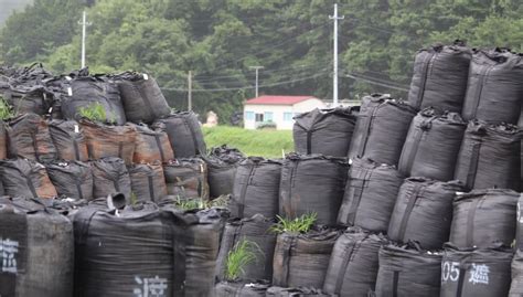 Fukushima struggles on 10 years after devastating earthquake and tsunami | CBC News