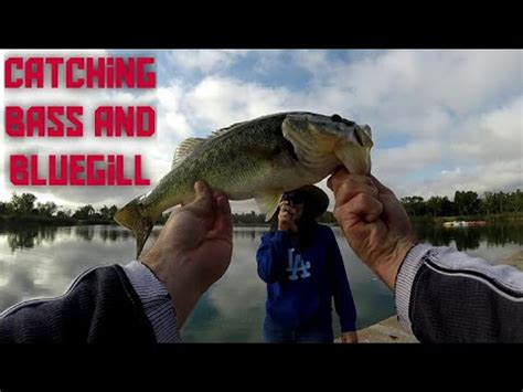 Fishing at El Dorado Park in Long Beach: Fish On During Tutorial - YouTube