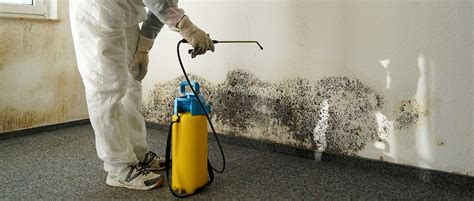 5 water damage cleanup tips - Deely House