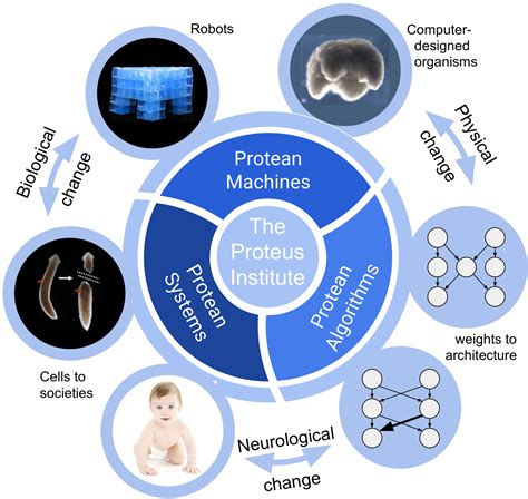 The Proteus Institute | Creating bio-inspired and biological machines.