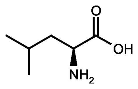 L-Leucine (White Crystals or Crystalline Powder), Fisher BioReagents Glass